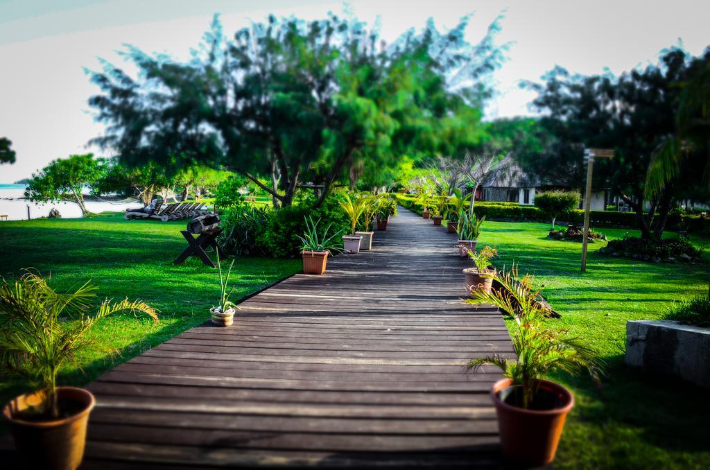 Coralview Island Resort Tavewa Island Exterior foto